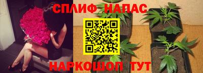каннабис Будённовск
