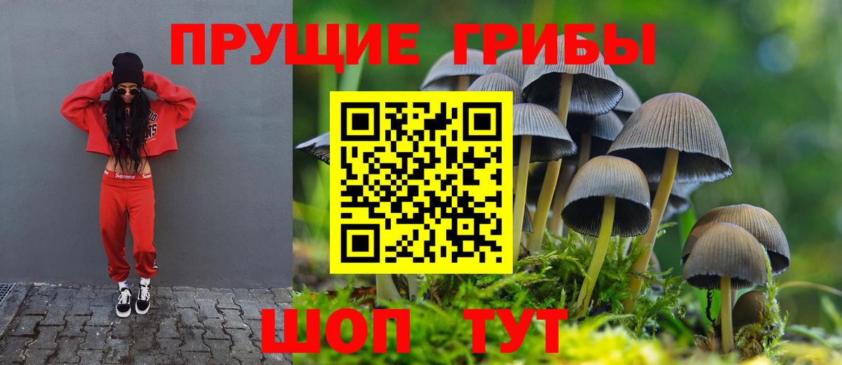 Нарткала  Псилоцибиновые грибы прущие грибы  Вход с VPN 